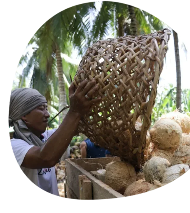 SD_4902_Impact_Inset1