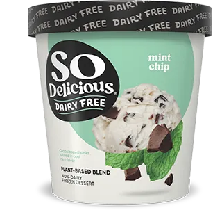 Mint Chip plant-based blend Frozen Dessert