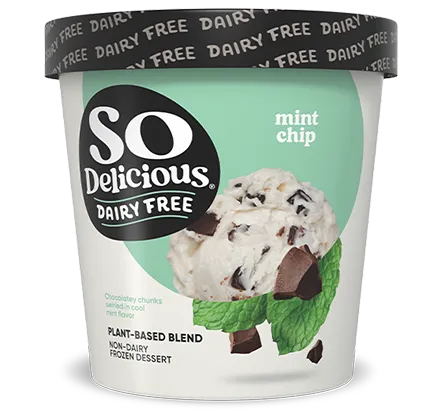 Mint Chip plant-based blend Frozen Dessert