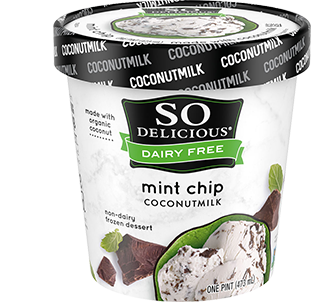 Mint Chip Coconutmilk Frozen Dessert