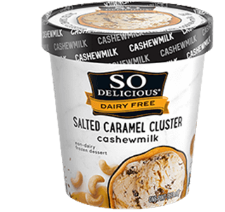 Salted Caramel Cluster Cashewmilk Frozen Dessert