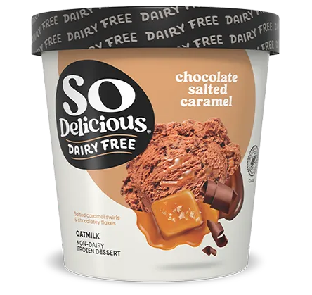 Chocolate Salted Caramel Oatmilk Frozen Dessert