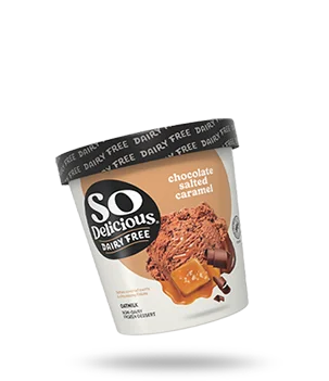 Chocolate Salted Caramel Oatmilk Frozen Dessert