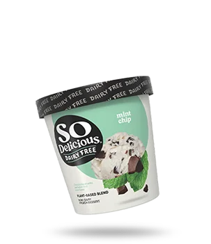 Mint Chip plant-based-blend Frozen Dessert