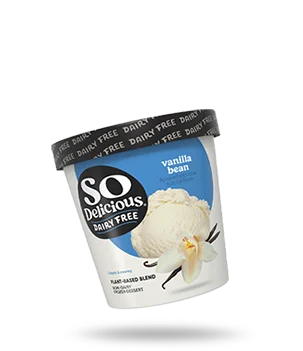 Vanilla Plant-based Blend Frozen Dessert Pint