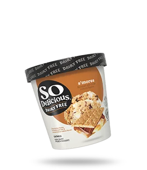 S'mores Oatmilk Frozen Dessert